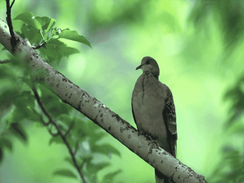 害怕试管出意外协和试管开检查造假试管发票怎么开